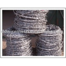 barbed wire mesh